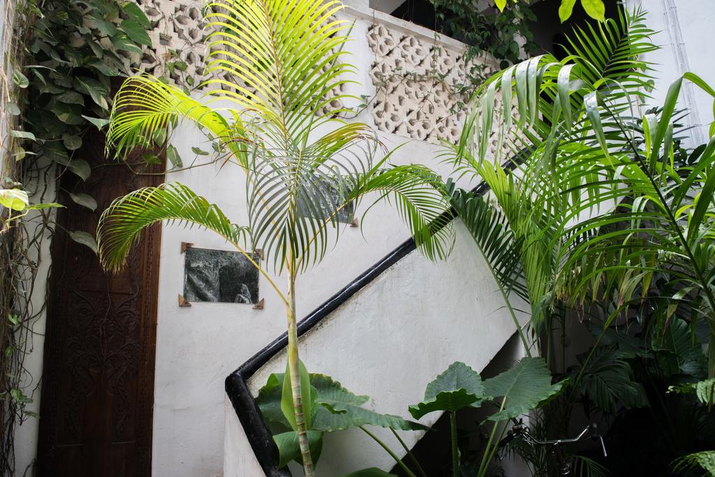 Malindi Guest House ザンジバルシティ エクステリア 写真