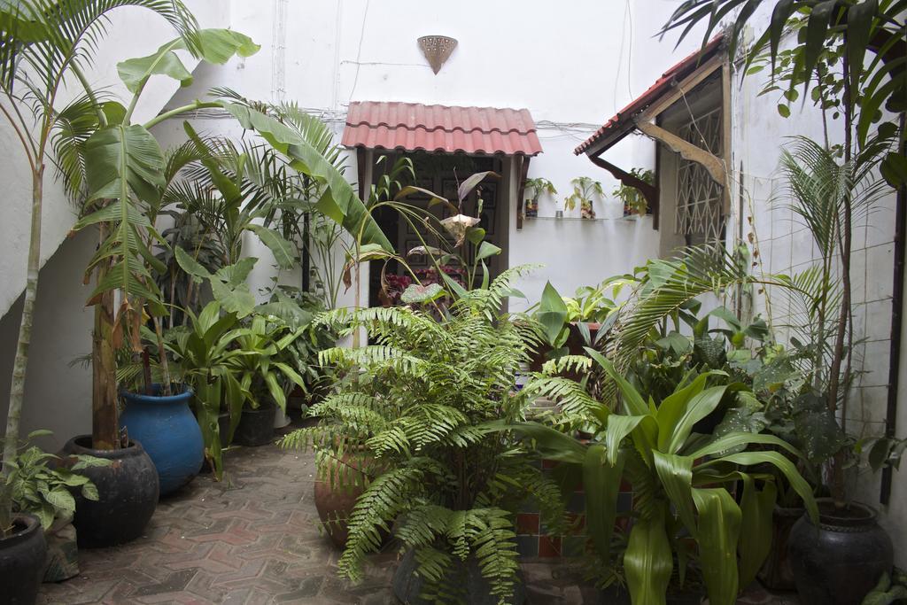 Malindi Guest House ザンジバルシティ エクステリア 写真