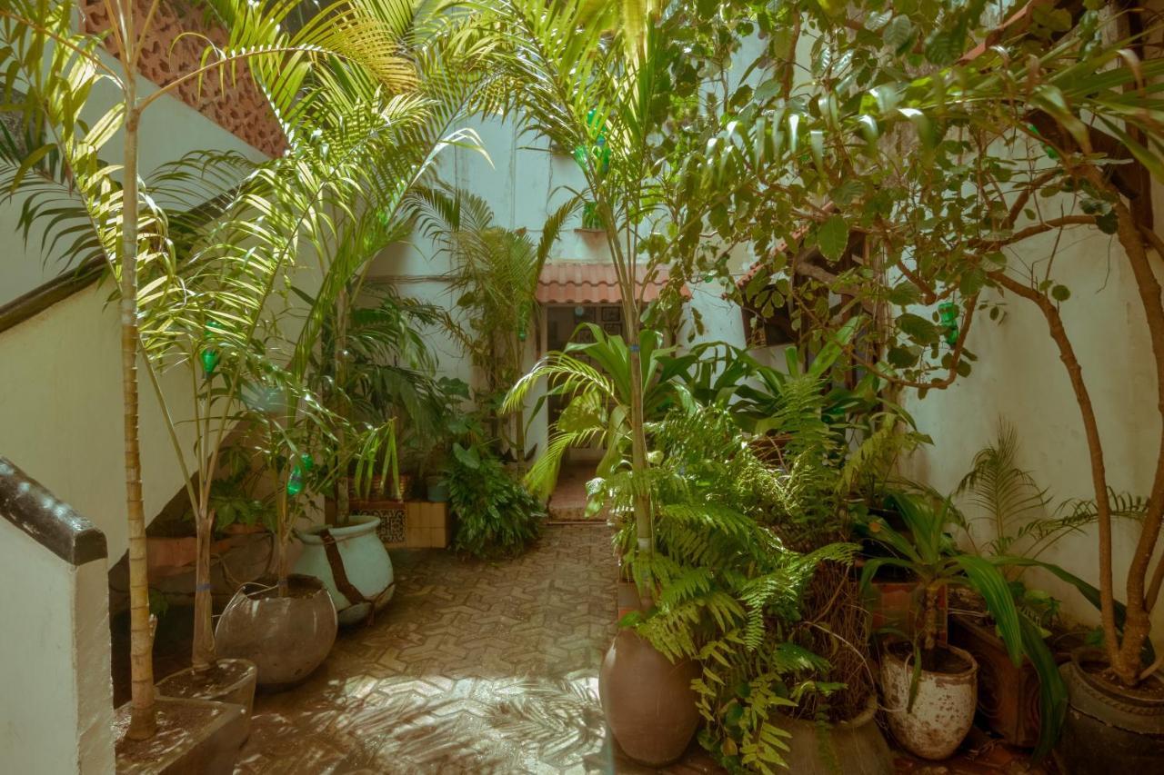 Malindi Guest House ザンジバルシティ エクステリア 写真