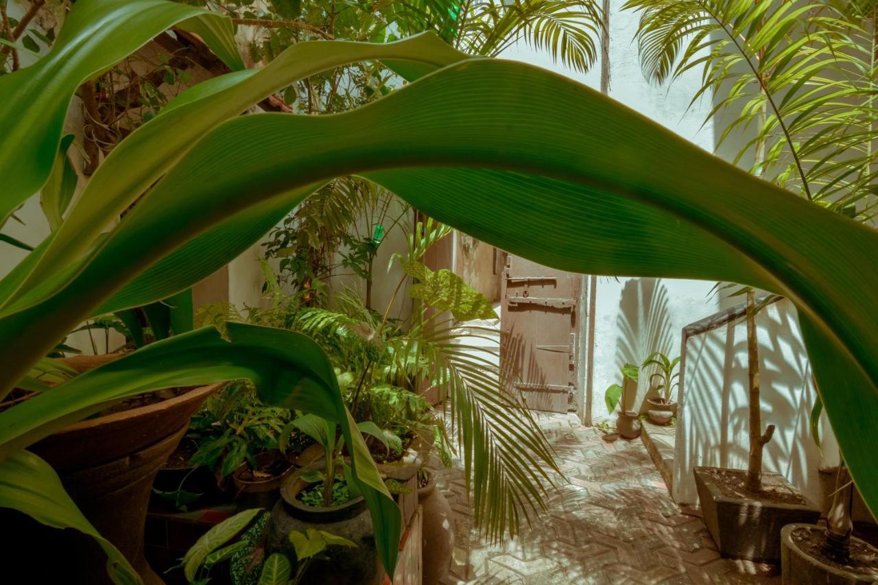 Malindi Guest House ザンジバルシティ エクステリア 写真